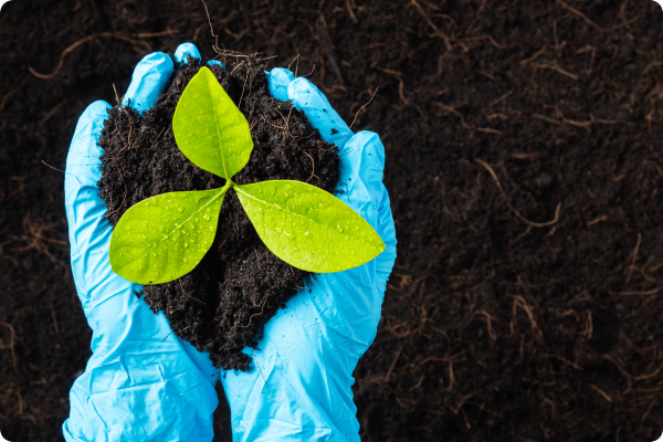 Environmental Information Introduction